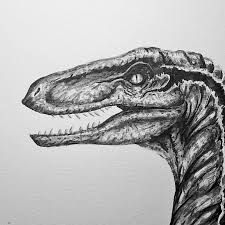Indominus rex drawing by @juliannamaston. Process Drawing Velociraptor Blue From Jurassic World Anson Aguirre Firth