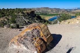 The park is famed for its fossils. Escalante Petrified Forest State Park Escalante Utah The Trek Planner