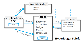 Hyperledger (or the hyperledger project) is an umbrella project of open source blockchains and related tools, started in december 2015 by the linux foundation, and has received contributions from ibm, intel and sap ariba. Hyperledger Fabric The Most Popular Hyperledger Framework Hacker Noon