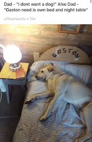 Gifts for pet lovers | pet lover custom gifts. Dads Who Fell In Love With The Dogs They Never Wanted