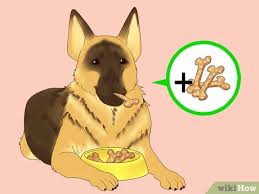 Most people feed a puppy food for about 12 months and then switch to a good all life stages food for their german shepherd. 3 Ways To Make Your German Shepherd Gain Weight Wikihow Pet