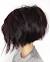 Dark Hair Colors With Highlights