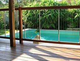 Pin By Mariana Vera On Pool In 2020 Glass Pool Fencing Fence Around Pool Backyard Pool