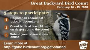 World of avian research and conservation. Pa Environment Digest Blog Make A Difference In Bird Conservation By Counting Your Backyard Birds Feb 16 19