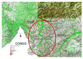 Image result for Congolanthus longidens