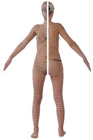 Integumentary System - Youtube