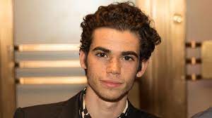 He studied in high school the training of which included optional courses of performing. Cameron Boyce S Death Spotlights Dangers Of Epilepsy Admin