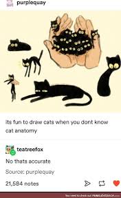 Any Shape Is Accurate Funsubstance Cute Drawings Cat Anatomy Cute Art