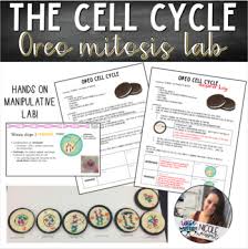 Include the following in your drawing. Cell Cycle Oreo Mitosis Lab By Get Wise With Weissert Tpt