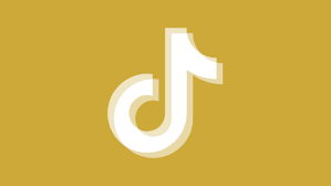 Tiktok Icon Aesthetic Orange Google Search Fotograf
