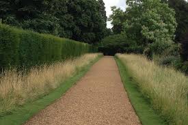 Young Gardeners Series Caitlin Mclaughlin Chelsea Garden Rhs Flower Show Memorial Garden