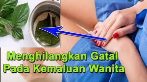 Rasa gatal atau rasa tidak nyaman di daerah kemaluan anda. Petua Hilangkan Gatal Di Kemaluan Perempuan Petua Hilangkan Ketuta Kelamin Lelaki Paling Berkesan Lokasi De Nature Di Malaysia Sipilis Kencing Sakit Kencing Nanah Kelamin Gatal Kelamin Bengkak Bagi Yang Tidak