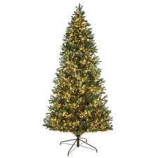 Maybe you would like to learn more about one of these? Greenbriar Fir Pre Lit Christmas Tree 7 1 2 Pre Lit Christmas Tree Christmas Tree Lighting Christmas Tree