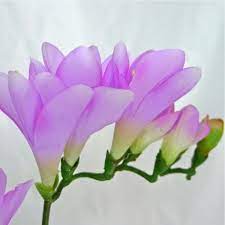 Artificial Silk Flower Freesia Decoration Present Or Gift Jpg 600 600 Pixels Freesia Flowers Flower Fairies Happy Flowers