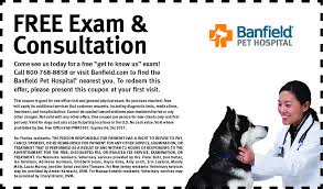 Today's top banfield pet hospital coupon: Banfield Pet Hospital Coupon Pet S Gallery