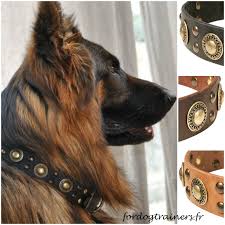 Collier Original Pour Chien En Cuir Noir Chevalier D Or Collier Chien Collier Chien