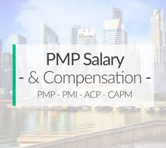 Strategic and operational portfolio management. Average Project Management Professional Pmp Salary Range For 2021