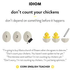 Dont Count Your Chickens Before They Hatch Idiom Idioms English Idioms Idioms And Phrases