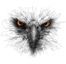Augen Von Aguila Gut Aguila Augen Zeichnungenkohle Natur Skizze Stift Kunst Vogel Kunst