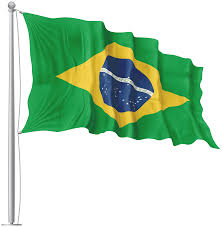 Brazil flag png image transparent background resolution: Brazil Waving Flag Png Image Gallery Y 1719107 Png Images Pngio