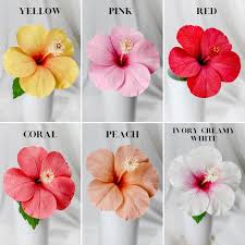 Hawaiian flowers that start with p. Hibiscus Bouquet Hibiscus Paper Flower Tropical Flowers For Etsy In 2021 Hibiscus Bouquet Paper Flowers Paper Flower Bouquet