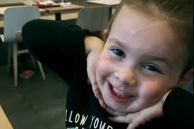 Girl, 2, patted 'lovely' XL bullies