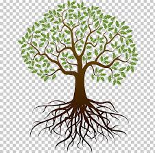 Pin By Jess Asher On Tree Roots Illustration Roots Drawing Tree Roots Tattoo