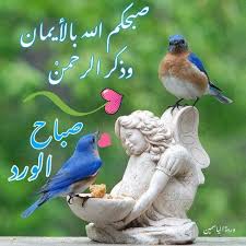 صباح الورد animals poster