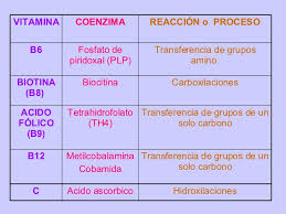 Resultado de imagen de vitaminas y sus formas coenzimaticas