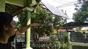 Pembayaran tagihan listrik pln online lebih mudah & hemat dengan berbagai promo bayar listrik bulanan. Pasang Listrik Panel Surya Hemat Hingga Rp 200 Ribu Perbulan Beritajatim Com