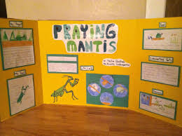 Biology Science Fair Projects For 10th Grade Kindergarten Science Project Praying Mantis My Son Got An A And All I Did For Him Was T Kindergarten Science Projects Kindergarten Science Science Projects