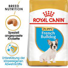 Frenchies do best with cats when introduced to them as puppies. Royal Canin French Bulldog Puppy Gunstig Kaufen Zooplus