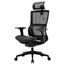 Xuer Ergonomic Office Chair With Cozy Lumbar Support And Adjustable 3d Armrest Computer Desk C In 2020 Ergonomic Office Chair Office Chair Best Ergonomic Office Chair