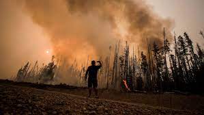 We provide version 1.0.4, the latest version that has been optimized for different devices. Covid 19 Pandemic Adds Risk To Wildfire Season B C Forests Minister Ctv News