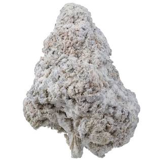 Buy THCa Snow Caps Weed | Asteroids Potent Snowcap Weed Strain ...