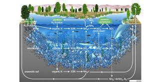 Image result for water quality