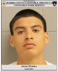 Mark Herman, Harris County Constable Precinct 4