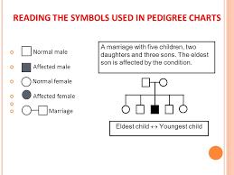 Pedigree Charts A Family History Of A Genetic Condition Or