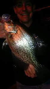 Beardfish-cum-Gungfly bassist Robert Hansen at the NJ ProgHouse 20th  Anniversary Hootenanny...I had so much fun photographing him, and he's a  cool dude to boot!