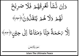 Tuliskan ayat di atas menggunakan spidol yang tidak terhapus oleh air (spidol permanen) di sebuah piring melingkar lalu bungkus dengan plastik tahan air dan piring itu tanamlah di. Surah Yasin Verses 43 44 Verses Islamic Quotes Quran Verses