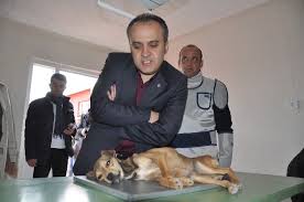 Inegol E Yeni Hayvan Barinagi Bursa Haberleri