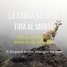 images?q=tbn:ANd9GcR1UGO04Ul492xQ_itF6Cf