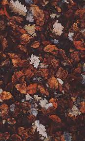 Maybe you would like to learn more about one of these? Pin Auf The Autumn Moodboard