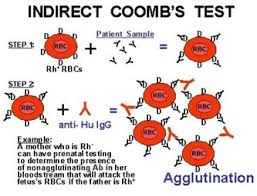 Image result for Direct Coombs