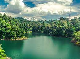 Di kelilingi oleh hutan belantara hujan tropika yang tertua di dunia sememangnya menyimpan seribu misteri khazanah. 14 Tasik Port Memancing Pakej View Best Di Malaysia Kaki Pancing Hobi Koleksi Forum Cari Infonet