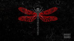 Dragonfly wallpaper background download from the above widescreen, hd, mobile, iphone, normal, 4k, 5k, 8k ultra hd resolutions wallpapers for desktop, laptop, tablet, mobile phone and iphone background. Wallpaper Artwork Darknet Diaries