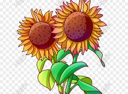 Lukisan bunga matahari, gambar bunga matahari umum, daun bunga matahari, oranye, bunga tiga bunga matahari kuning, common sunflower kartun sunflower seed, cartoon sunflower. Lagi Tren Wallpaper Bunga Matahari Kartun Ideku Unik