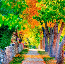 Beautiful Nature Background Png Free Beautiful Nature Background Png Transparent Images 52949 Pngio A picsart background image by sagar jadhav best background. beautiful nature background png free