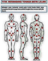 Kami kongsikan cara mengurut zakar lelaki dengan urutan zakar yang benar berkesan. Paku Midin 10 Cara Mudah Tingkatkan Tenaga Batin Tradisional