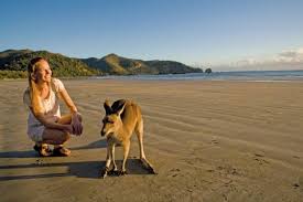 Cape Hillsborough Beach Mackay About 20 Kilometres North Of Mackay And Nestled Between Two Rocky Headlands This Relatively Unkn Mackay Beach National Parks